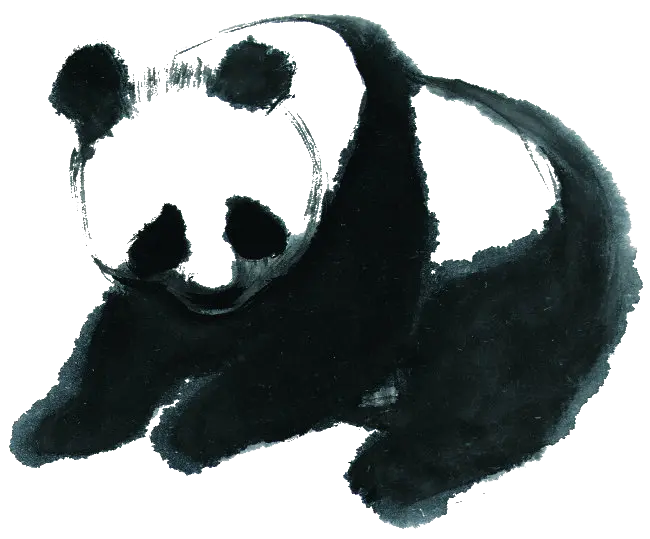 تصویر پروفایل PNG نقاشی پاندا دوربری شده و آماده فتوشاپ