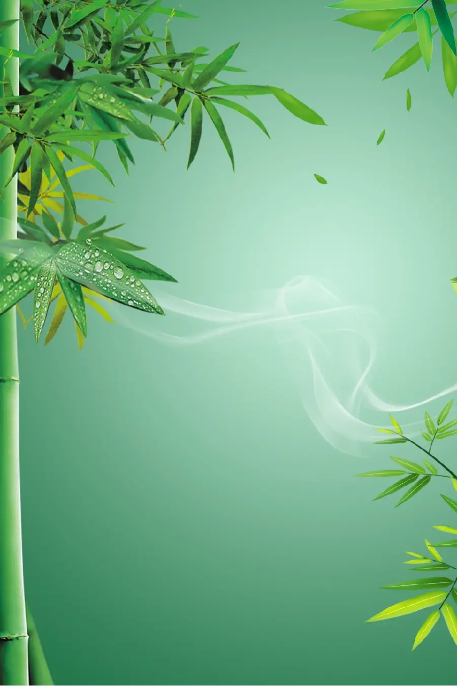 زیباترین تصویر زمینه بامبو با کیفیت 4K برای دانلود رایگان