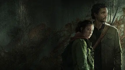 بهترین تصاویر زمینه از سریال لست اف اس Last of Us  با کیفیت فول اچ دی