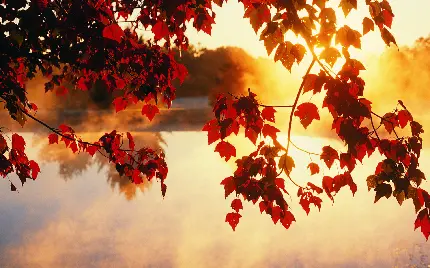 عکس های طبیعت پاییزی و مناظر فصل پاییز
