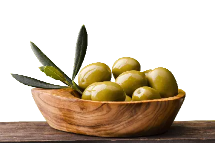 دانلود رایگان عکس PNG زیتون برای طراحی