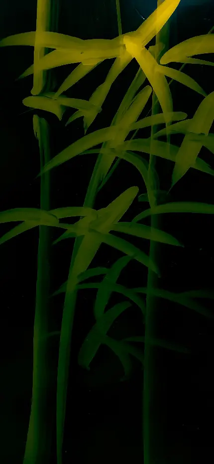 چاپ پوستر بک گراند موبایل بامبو با کیفیت بالا و رزولوشن 4K