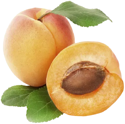 زرد الو