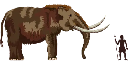 تصویر ماموت مناسب طراحی پوستر PNG