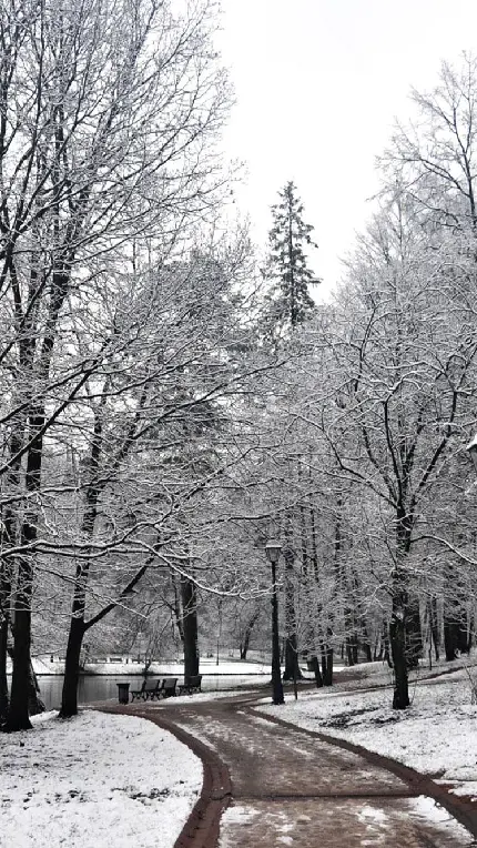عکس جاده شمال تو ماشین