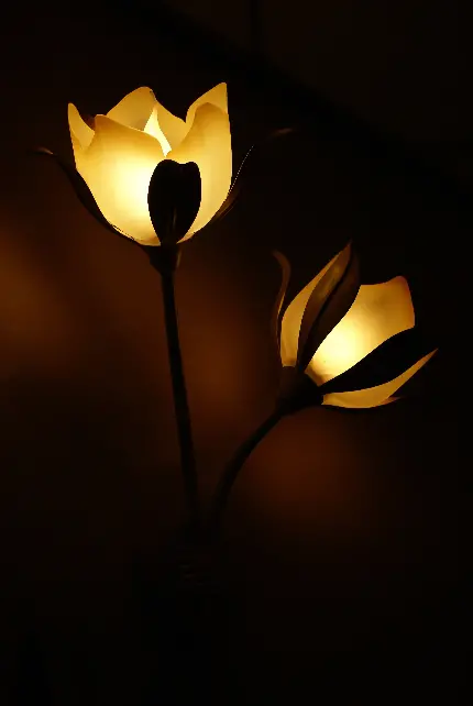 عکس خلاقانه از چراغ دیواری با طراحی مدرن