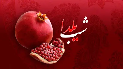 عکس برای پروفایل شب یلدا