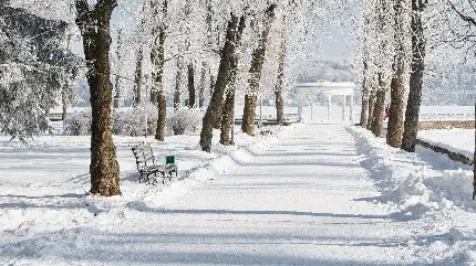 تصاویر خیره‌کننده از برف و زمستان