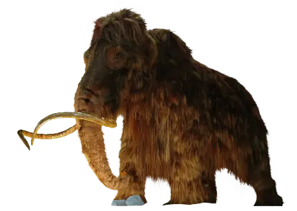ماموت واقعی PNG