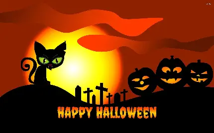 گربه نژاد چینی