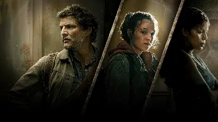والپیپرهای خیره کننده از سریال لست اف اس Last of Us  فصل دوم