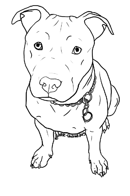 دانلود مجموعه عکس پس زمینه های جالب و دیدنی سگ سیاه سفید نقاشی PNG