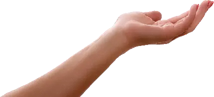 عکس با کیفیت مناسب پروژه گرافیکی