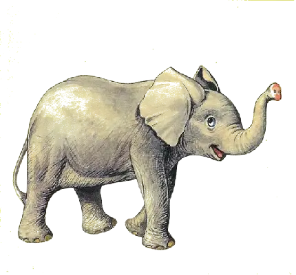 فیل کارتونی ساده و رنگی برای طراحی گرافیکی