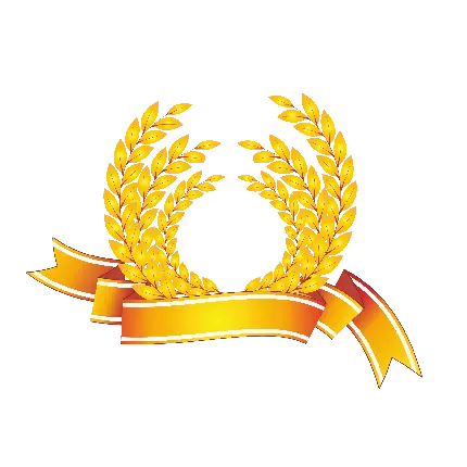 عکس پی ان جی برگ زیتون طلایی با کیفیت بالا و بدون پس زمینه