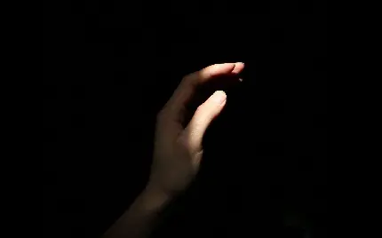 والپیپر دسته بیرون آمده از تاریکی و شتافتن به سوی روشنایی