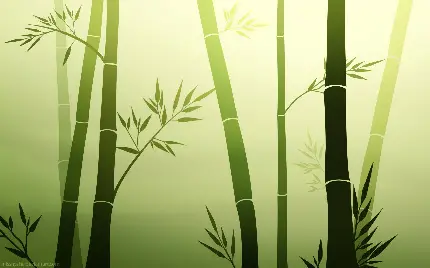 چاپ پوستر تصویر زمینه دسکتاپ بامبو با کیفیت Ultra HD و رزولوشن بالا