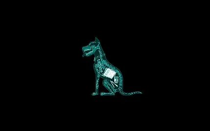 بک گراند HD سگ مینیمالیستی در پشت زمینه مشکی