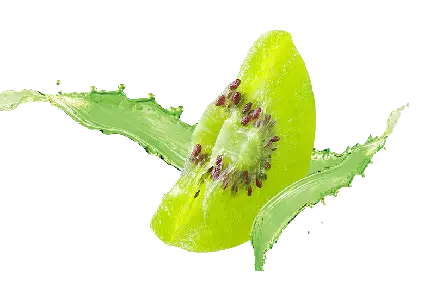 عکس پی ان جی با کیوی با کیفیت فول اچ دی و طراحی خلاقانه