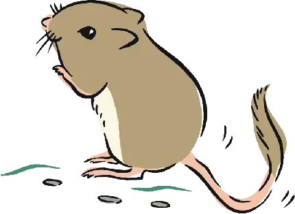 موش نقاشی PNG