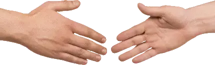 عکس دست دادن