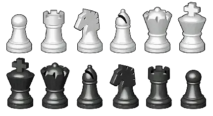 چاپ پوستر مهره وزیر شطرنج سفید PNG بدون پس زمینه برای طراحی
