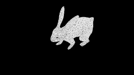 چاپ پوستر عکس خرگوش سیاه و سفید با کیفیت Full HD برای طراحی
