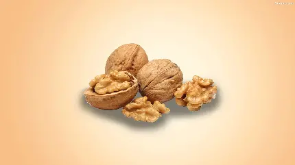 عکس تبلیغاتی گردو با طراحی طبیعی و زیبا