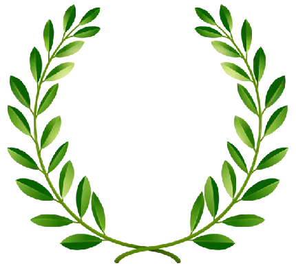 تصویر برگ زیتون برای لوگو با فرمت PNG و کیفیت عالی