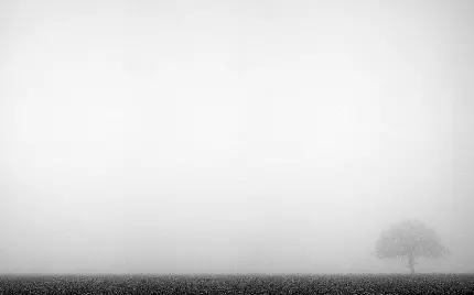 تصویری از مه و برف و بوران برای والپیپر و بک گراند