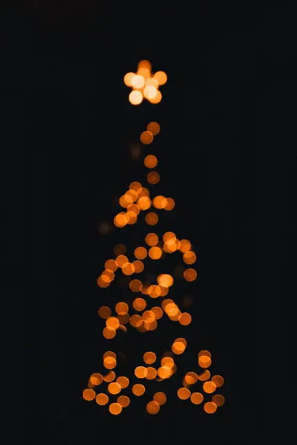 درخت کریسمس از کجا بخرم