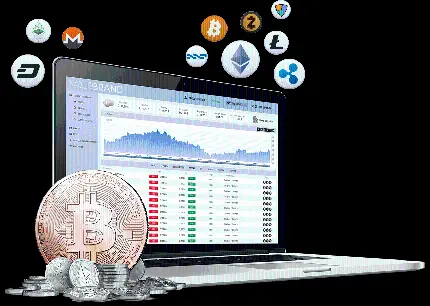 تصویر تریدر با کیفیت بالا برای استفاده در وب سایت ها