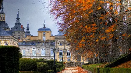 عکس برگ پاییزی فانتزی