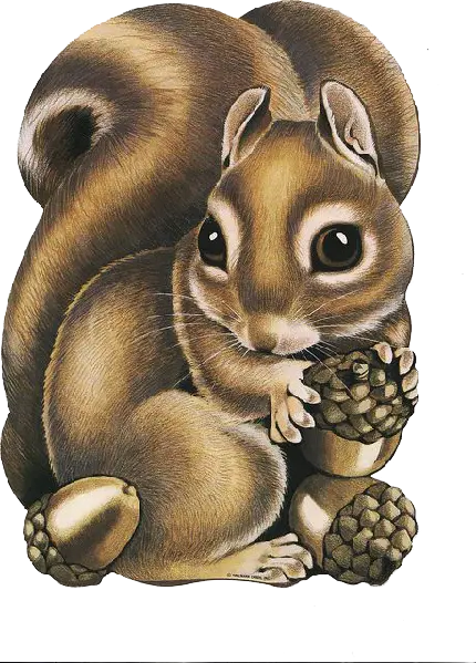 بک گراند دخترانه