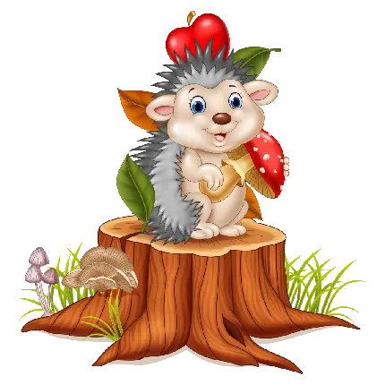 چاپ پوستر عکس پس زمینه جوجه تیغی به صورت فایل PNG