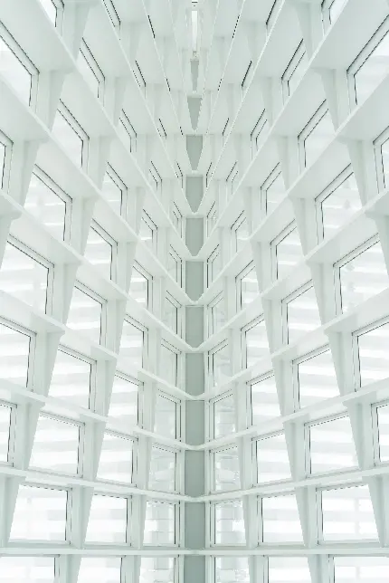 بک گراند سفید کیوت