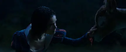 بک گراند سفید تولد