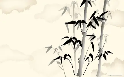 چاپ پوستر عکس مینیمال بامبو با کیفیت 4K برای دانلود رایگان