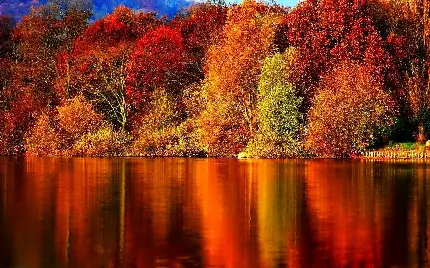 عکس غروب زیبا برای پروفایل