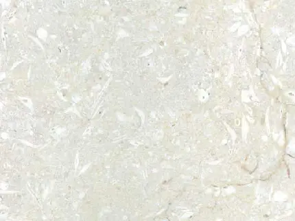 تکسچر خلاقانه مرمریت عمران یزد با کیفیت فول اچ دی