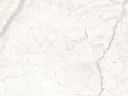 بک گراند سفید تولد