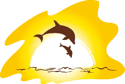 دلفین