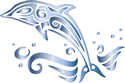 مجموعه تصاویر دلفین PNG برای طراحی لوگوهای خلاقانه