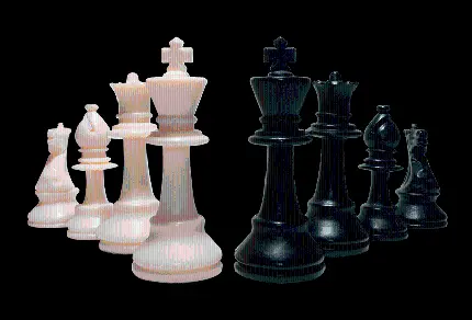 چاپ پوستر مهره اسب شطرنج سفید PNG با کیفیت بالا و مناسب چاپ