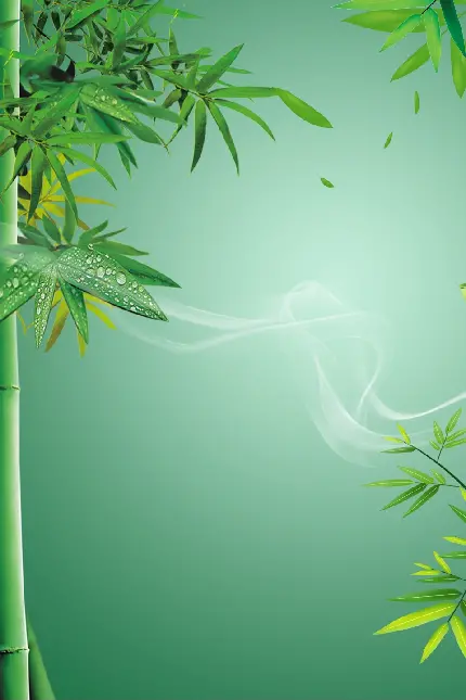 چاپ پوستر زیباترین تصویر زمینه بامبو با کیفیت 4K برای دانلود رایگان