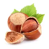 چاپ قاب موبایل و گوشی تصویر فندق Hazelnut با پس زمینه سفید و کیفیت فوق العاده