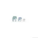 چاپ قاب موبایل و گوشی عکس فیل با طرح انتزاعی
