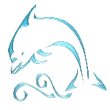 چاپ قاب موبایل و گوشی دانلود تصاویر PNG دلفین برای طراحی فلایر