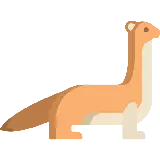 چاپ قاب موبایل و گوشی عکس پس زمینه بی نظیر سمور PNG برای طراحی کلیپ