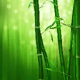 چاپ قاب موبایل و گوشی تصویر زمینه مینیمال بامبو با کیفیت Ultra HD برای دانلود